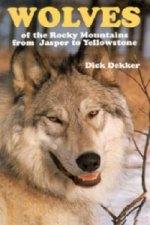 Wolves of the Rocky Mountains