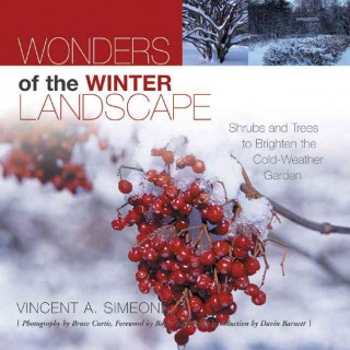 Wonders of the Winter Landscape