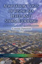 Adaptation Costs of Rising Sea Levels and Storm Flooding