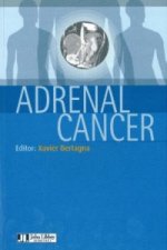 Adrenal Cancer