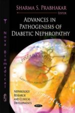 Advances in Pathogenesis of Diabetic Nephropathy