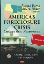 America's Foreclosure Crisis