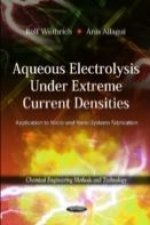 Aqueous Electrolysis Under Extreme Current Densities