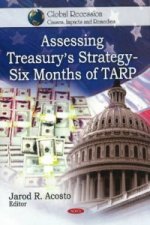 Assessing Treasury's Strategy