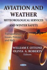 Aviation & Weather