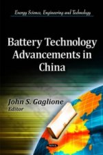 Battery Technology Advancements in China