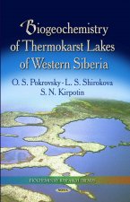 Biogeochemistry of Thermokarst Lakes of Western Siberia