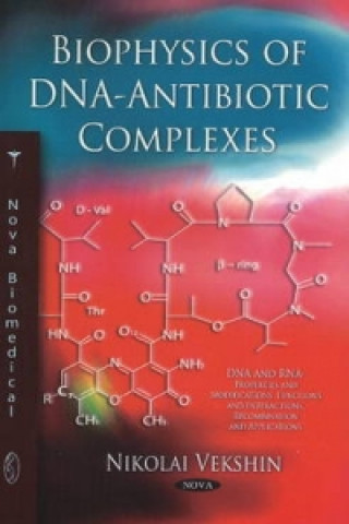 Biophysics of DNA-Antibiotic Complexes