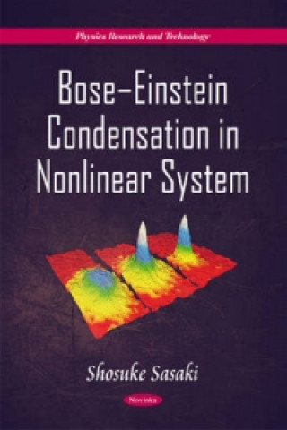 BoseaEinstein Condensation in Nonlinear System