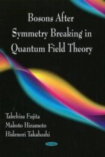 Bosons After Symmetry Breaking in Quantum Field Theory
