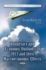 Budgetary & Economic Outlooks to 2023 & their Macroeconomic Effects