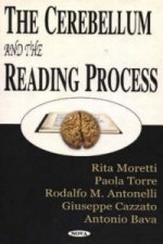 Cerebellum & the Reading Process