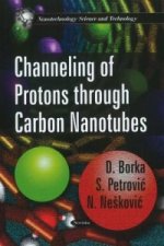 Channeling of Protons Through Carbon Nanotubes