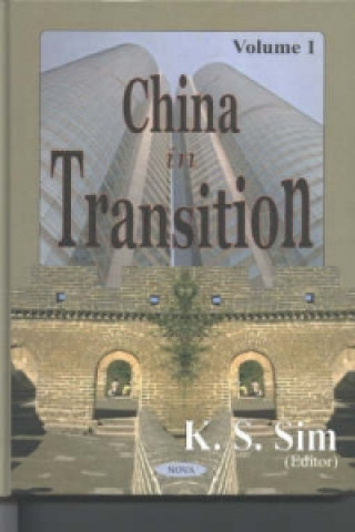 China inTransition, Volume 1