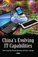 China's Evolving IT Capabilities