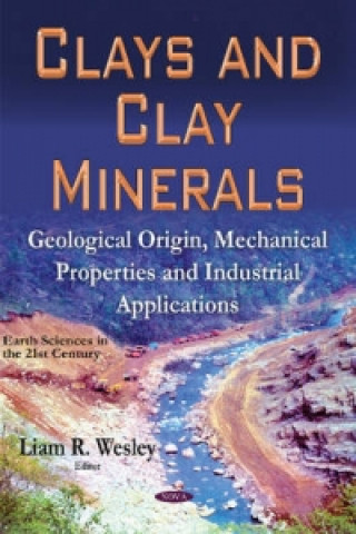 Clays & Clay Minerals