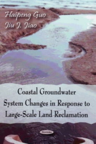 Coastal Groundwater System Changes in Response to Large-Scale Land Reclamation