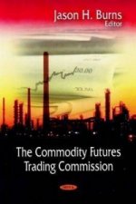 Commodity Futures Trading Commision