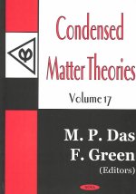 Condensed Matter Theories, Volume 17
