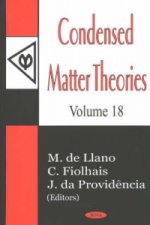 Condensed Matter Theories, Volume 18