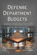 Defense Department Budgets