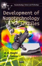 Development of Nanotechnology in Textiles