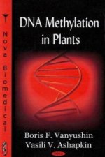 DNA Methylation in Plants