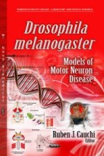 Drosophila Melanogaster Models of Motor Neuron Disease