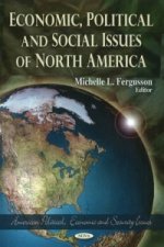 Economic, Political & Social Issues of North America
