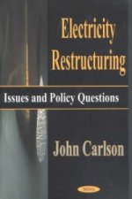Electricity Restructuring