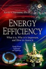 Energy Efficiency