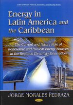 Energy in Latin America & the Caribbean