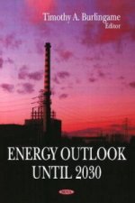 Energy Outlook Until 2030