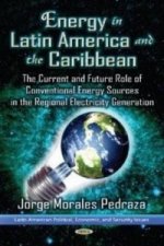 Energy Power in Latin America & the Caribbean