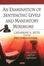 Examination Of Sentencing Levels & Mandatory Minimums