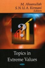 Topics in Extreme Values