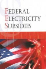 Federal Electricity Subsidies
