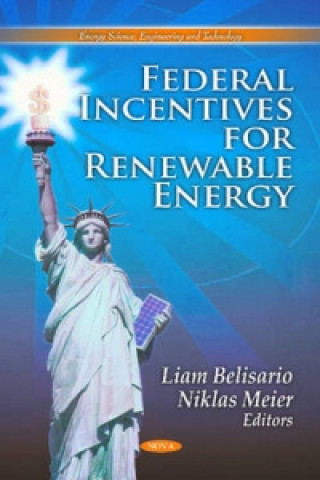 Federal Incentives for Renewable Energy