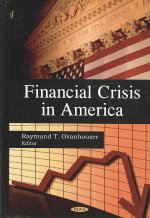 Financial Crisis in America