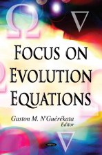 Focus on Evolution Equations
