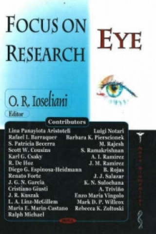 Focus on Eye Research