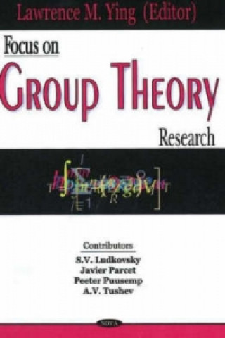 Focus on Group Theory Research
