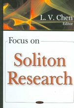 Focus on Soliton Research