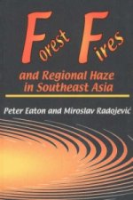 Forest Fires & Regional Haze in Southeast Asia