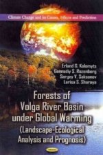 Forests of Volga River Basin Under Global Warming
