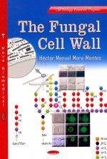 Fungal Cell Wall