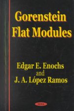 Gorenstein Flat Modules
