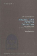 Hieratic Texts from the Collection