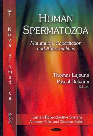 Human Spermatozoa