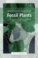 Identification Guide to the Fossil Plants of the Horseshoe Canyon Formation of Drumheller, Alberta